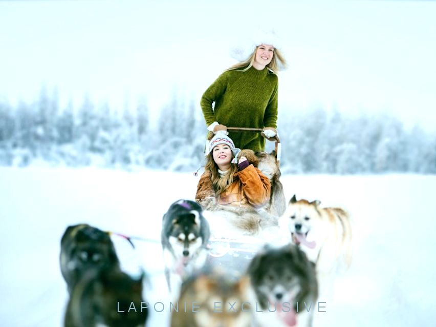 Voyages séjours Finlande Laponie tout inclus tout compris 2023 2024 traineau chiens huskies husky