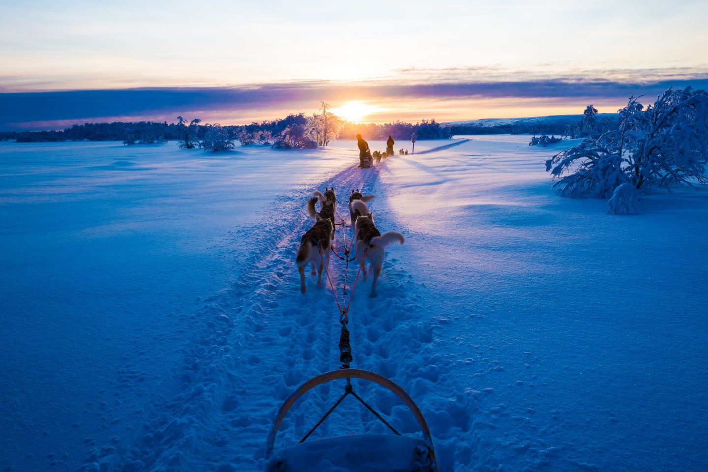 Nos Voyages en Laponie Finlande 2022 2023 - Laponie Exclusive