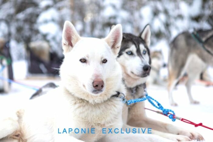 Voyage Laponie Père Noël et Multi-Activités, 5 jours